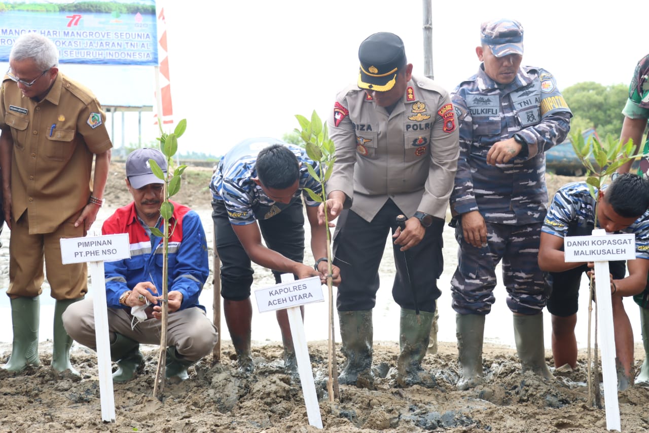 Kapolres Aceh Utara Hadiri Acara Penanaman Mangrove di Seunuddon yang di gelar Serentak Di 77 Lokasi  Jajaran TNI-AL Diseluruh Indonesia
